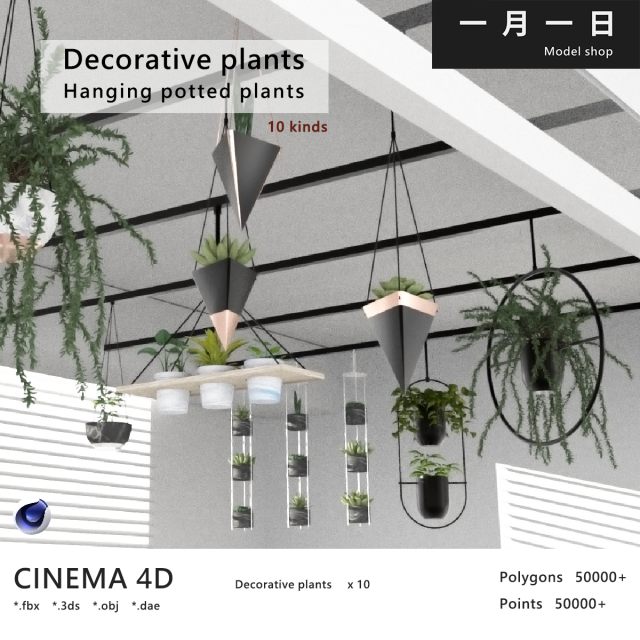 Hanging potted plants 3D Model .c4d .max .obj .3ds .fbx .stl .blend 