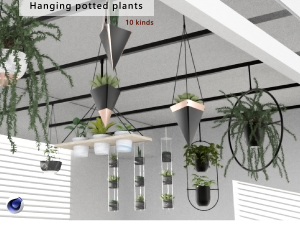 Hanging potted plants 3D Model