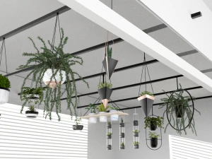Hanging potted plants 3D Model