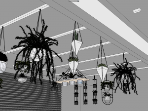 Hanging potted plants 3D Model