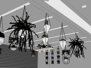 Hanging potted plants 3D Model