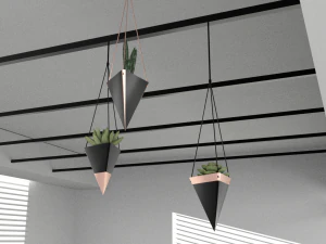 Hanging potted plants 3D Model