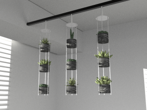 Hanging potted plants 3D Model