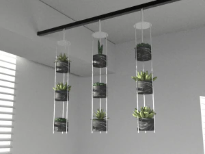 Hanging potted plants 3D Model
