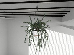 Hanging potted plants 3D Model