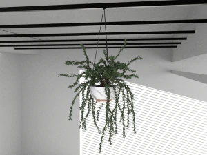 Hanging potted plants 3D Model