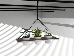 Hanging potted plants 3D Model