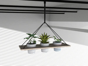 Hanging potted plants 3D Model