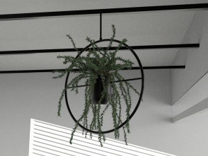Hanging potted plants 3D Model