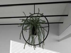 Hanging potted plants 3D Model