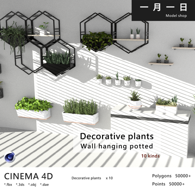 Hanging potted plants 3D Model .c4d .max .obj .3ds .fbx .stl .blend 