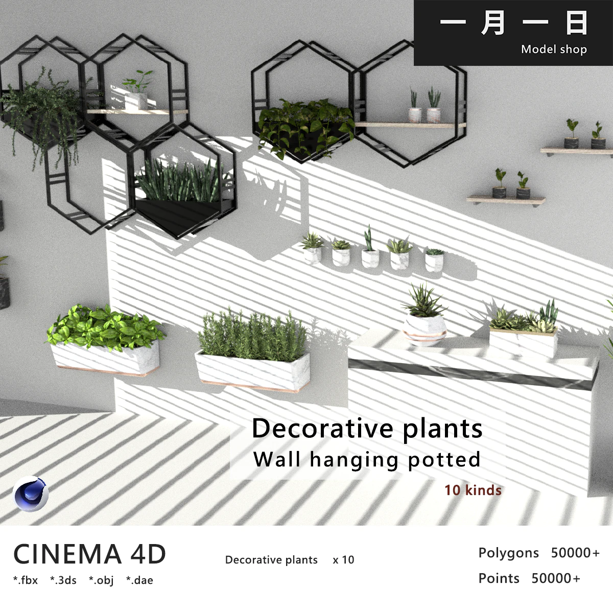 Pendurar vasos de plantas Modelo 3D .c4d .max .obj .3ds .fbx .stl .blend 