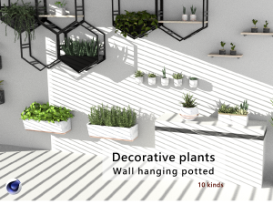 Hanging potted plants 3D Model