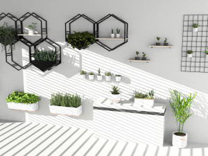 Hanging potted plants 3D Model