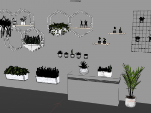Hanging potted plants 3D Model