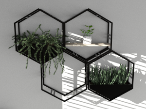 Hanging potted plants 3D Model