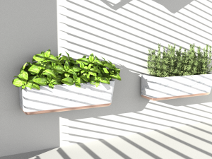 Hanging potted plants 3D Model