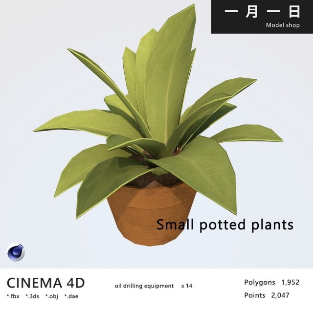 Small potted plants 3D Model .c4d .max .obj .3ds .fbx .stl .blend 