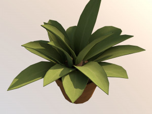 Small potted plants 3D Model