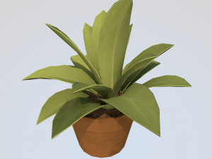 Small potted plants 3D Model