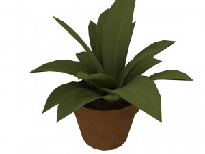 Small potted plants 3D Model