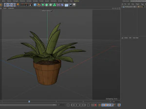 Небольшие горшечные растения 3D Модель