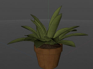 Small potted plants 3D Model