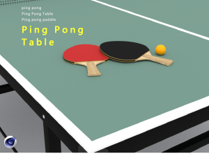 Ping Pong Table 3D Model