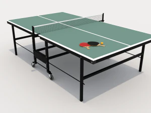 Ping Pong Table 3D Model