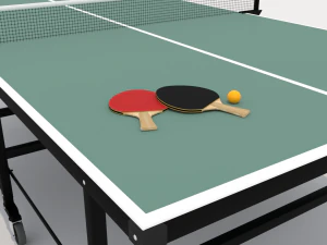 Ping Pong Table 3D Model