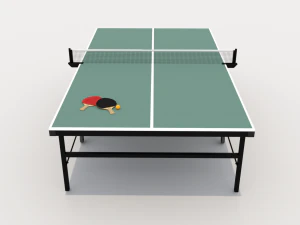 Ping Pong Table 3D Model