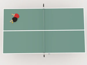 Ping Pong Table 3D Model