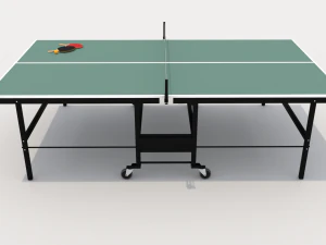 Ping Pong Table 3D Model