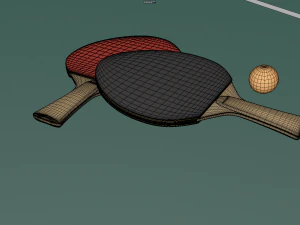Ping Pong Table 3D Model