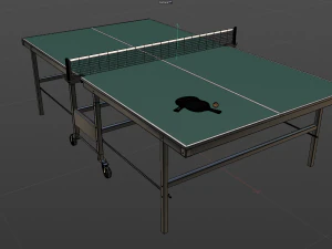 Ping Pong Table 3D Model
