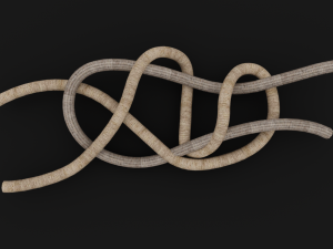 Knot model Strong Rope Knot 1 3D 모델