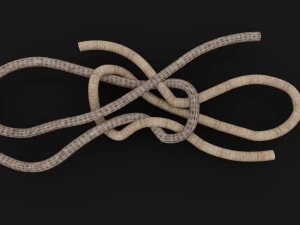 Knot model Strong Rope Knot 3 3D Model
