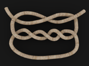 Knot model Strong Rope Knot 3 Model 3D