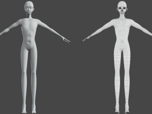 3D characteryoung man base mesh 3D 模型