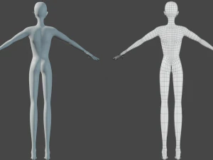 3D characteryoung man base mesh 3D Model