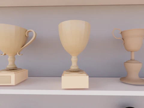 Trophy Cup -A2 3D Model