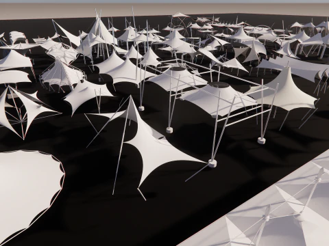 Tensile Structures Collection -A6 3D Model