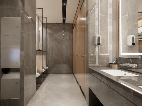 Public Bathroom Interior Scene -B3 3D Model