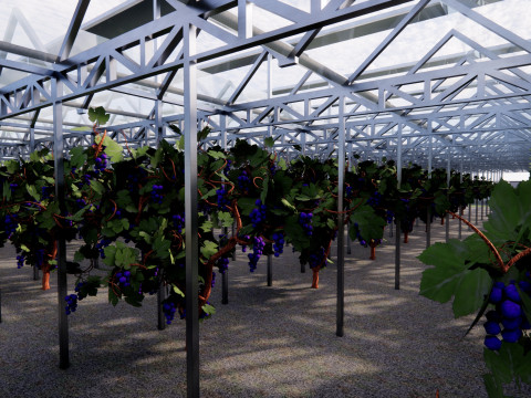 Agricultural Greenhouse Tent Frame -B6 3D 模型