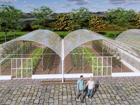 Zeltrahmen für landwirtschaftliche Gewächshäuser -B8 3D Modell