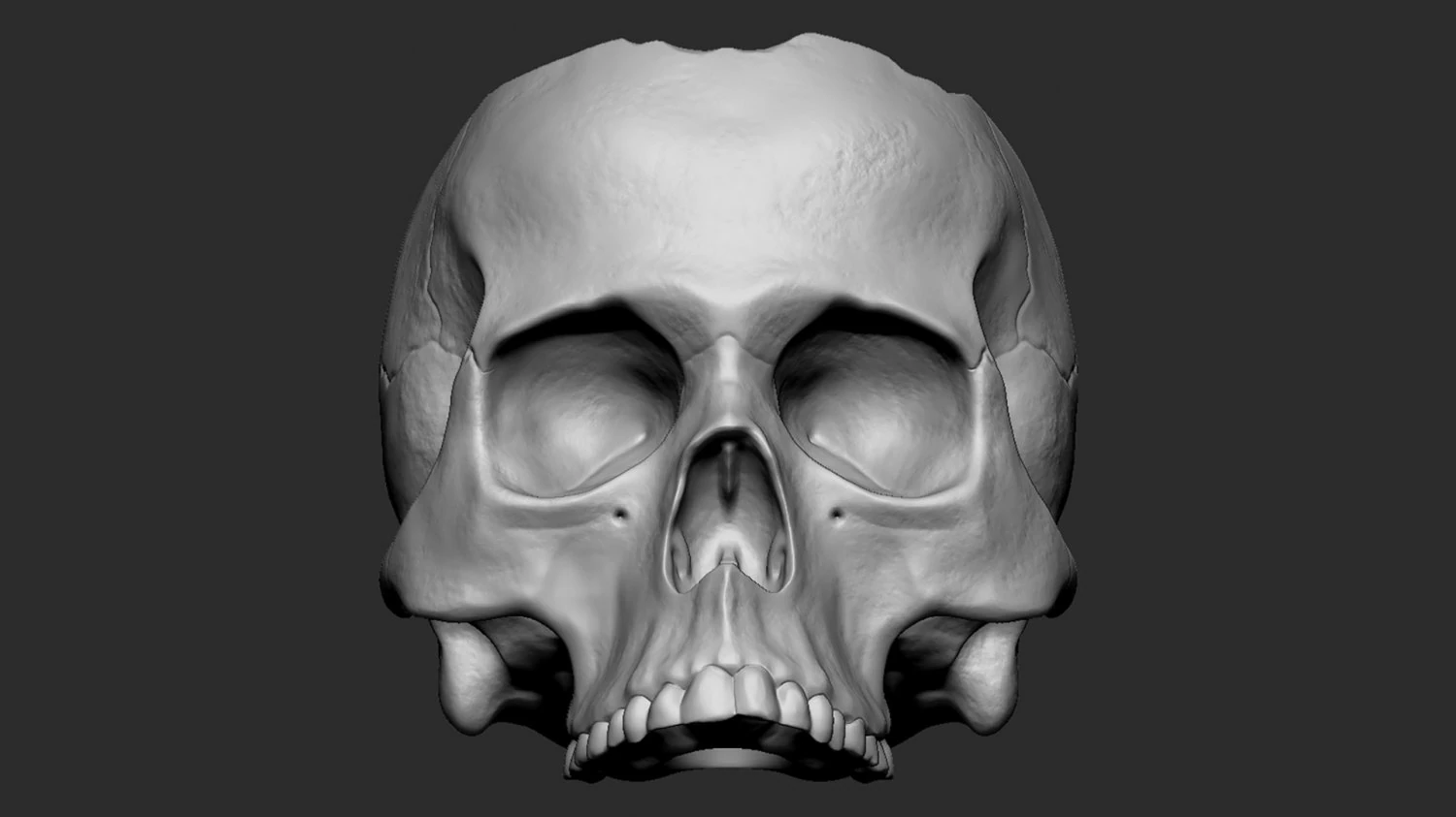 Skullpot 3D Print Model .c4d .max .obj .3ds .fbx .stl .blend 
