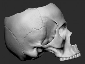 Skullpot Modelo de impresión 3D