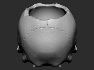 Skullpot 3D Print Model