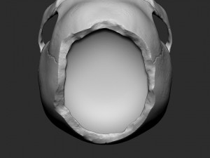 Skullpot Modelo de impresión 3D