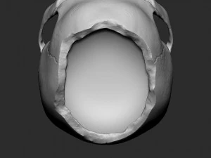 Skullpot 3D Print Model